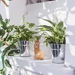 Apartament Art Myslym Shyri Tirana