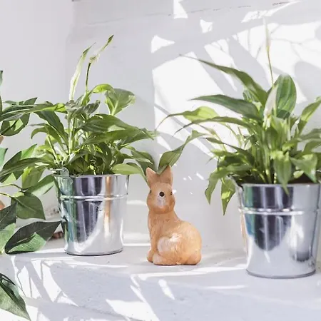 Apartamento Art Myslym Shyri