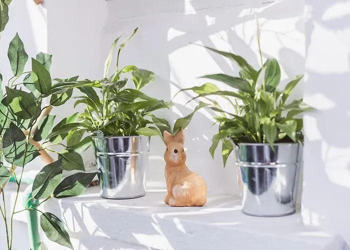 Apartament Art Myslym Shyri