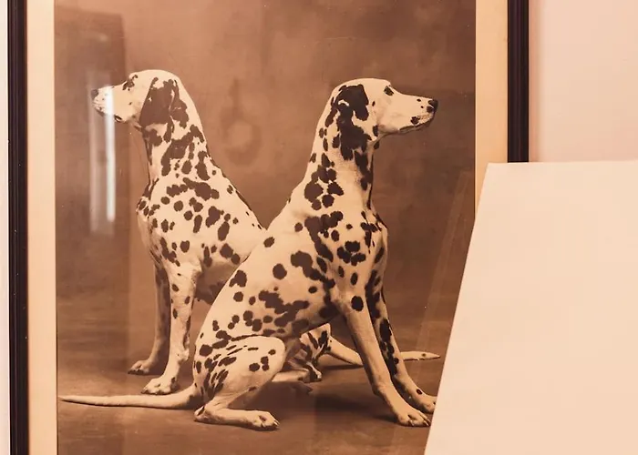 Art Myslym Shyri * Tirana