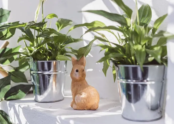 Apartament Art Myslym Shyri *