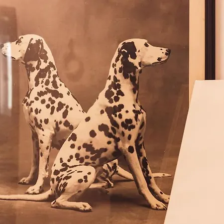 Art Myslym Shyri * Tiran