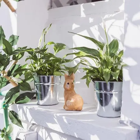 Daire Art Myslym Shyri Tiran