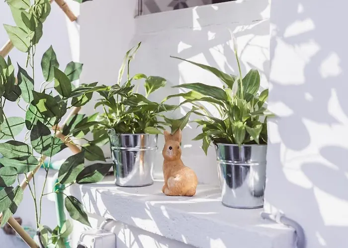 Apartamento Art Myslym Shyri Tirana